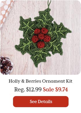 Holly & Berries Ornament Kit