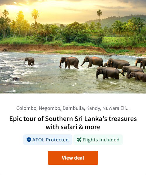 Epic tour of Southern Sri Lanka's treasures with safari &amp; more