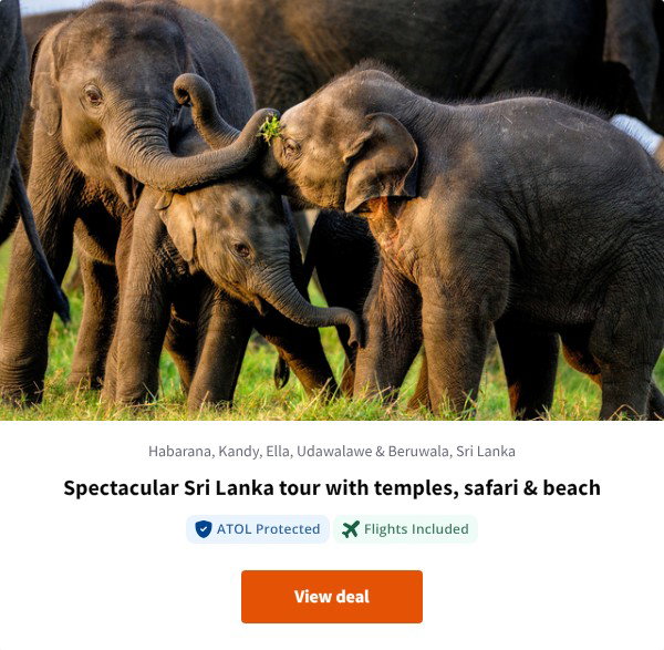 Spectacular Sri Lanka tour with temples, safari & beach