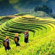 The Ultimate Guide to Vietnam