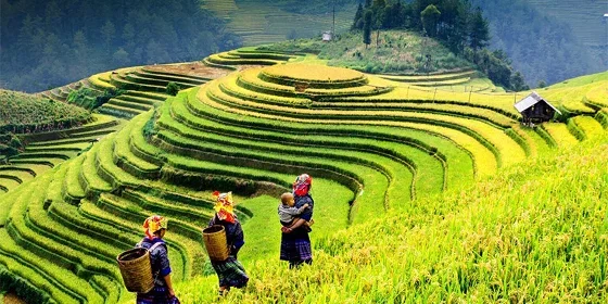 The Ultimate Guide to Vietnam