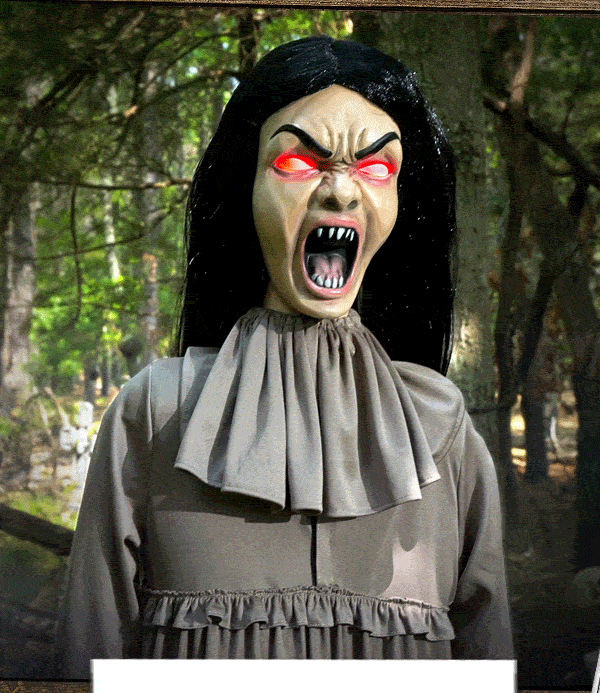 Shop Darcy Doom