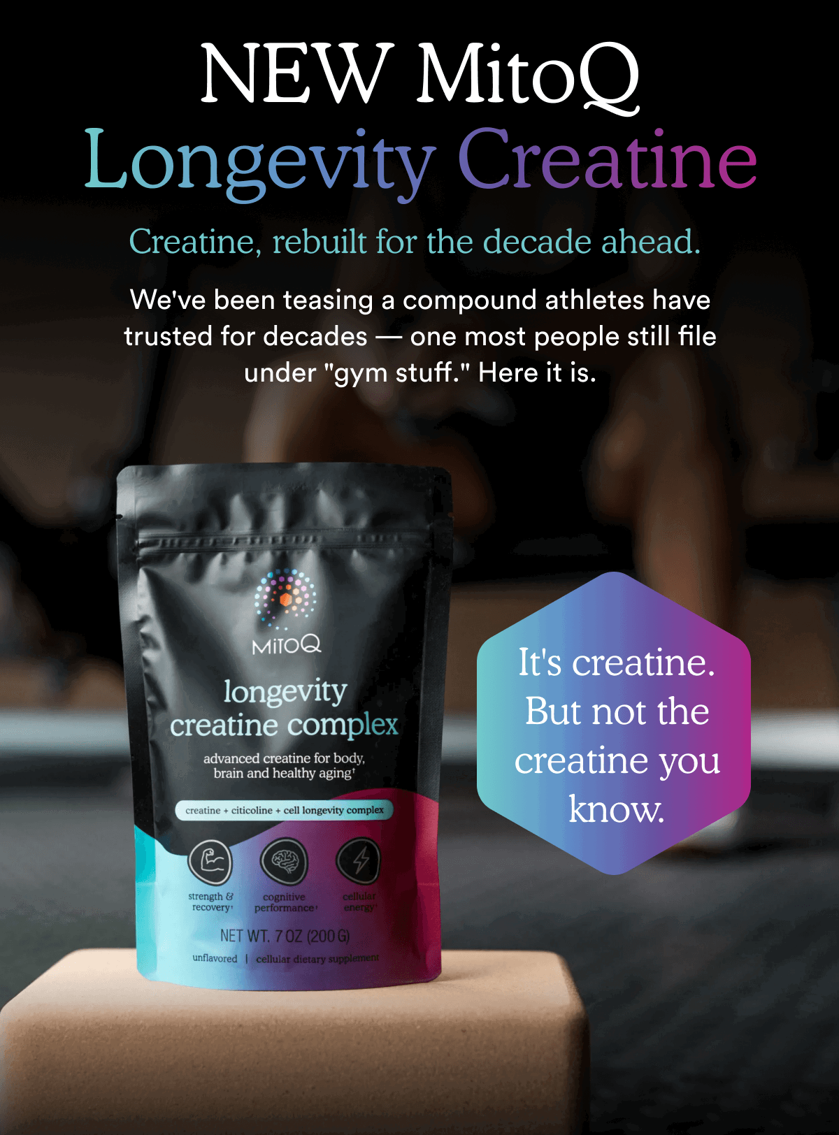 NEW MitoQ Longevity Creatine