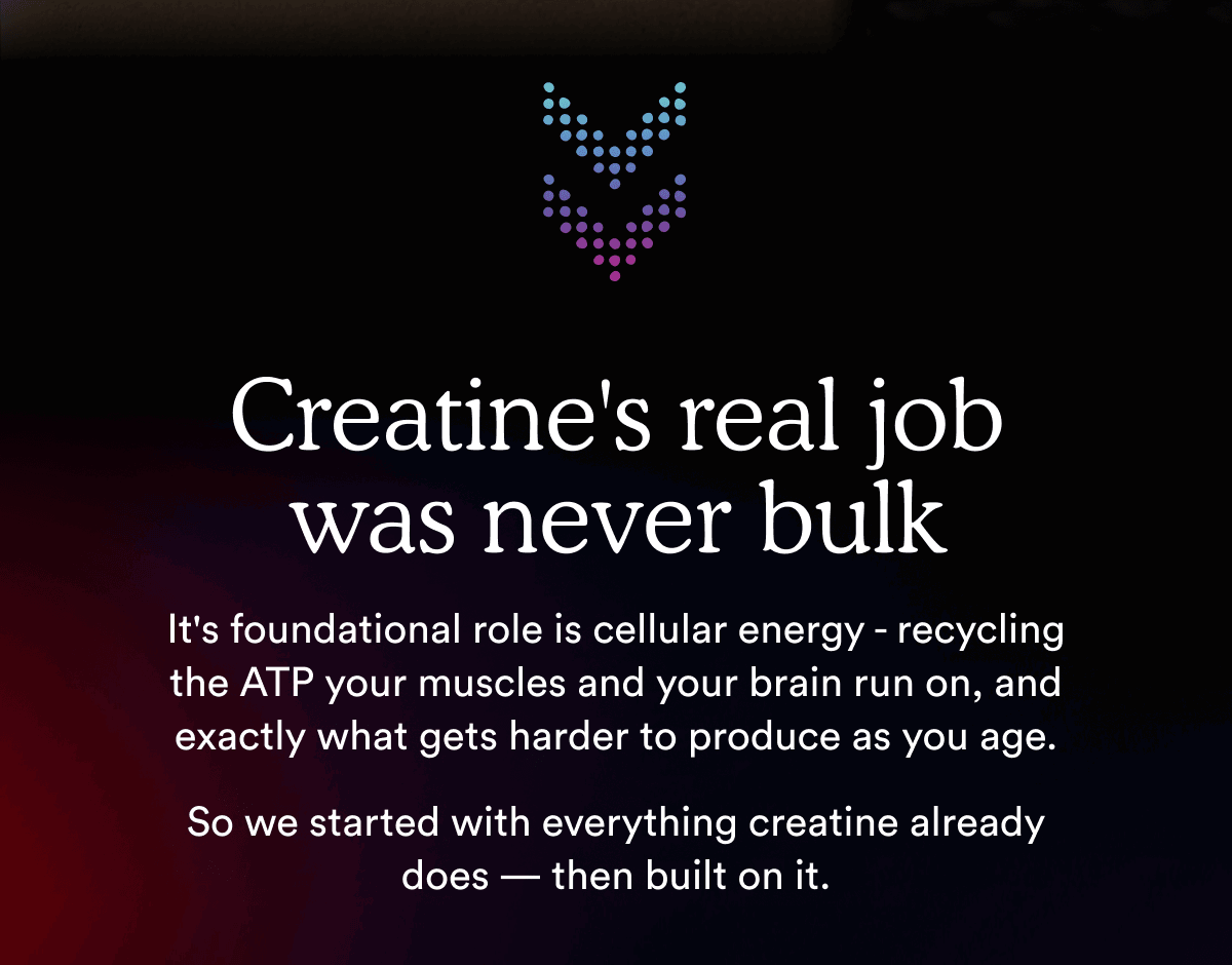 Creatine's real job was never bulk