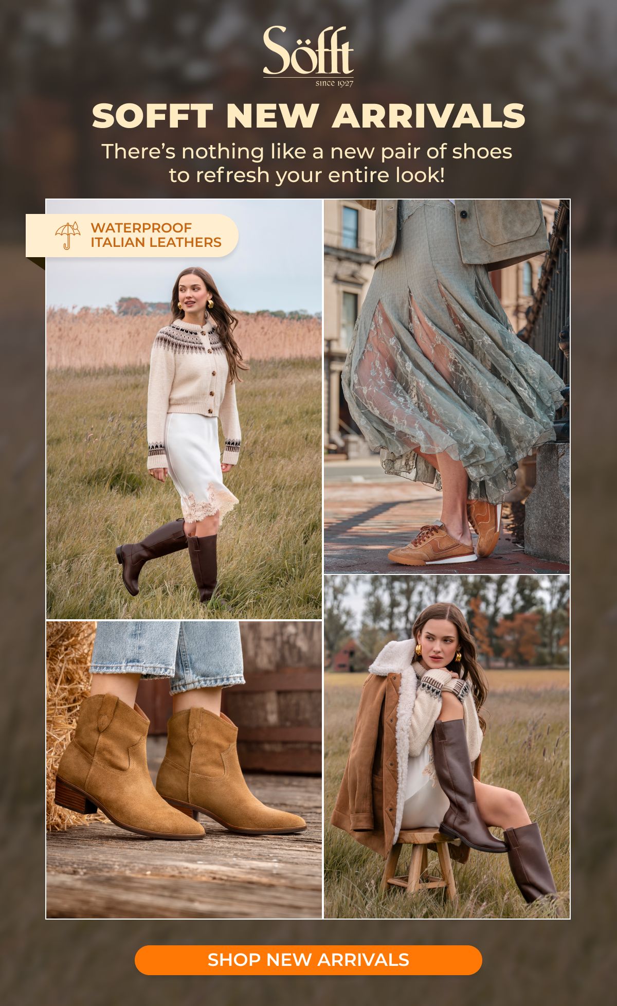Sofft New Arrivals