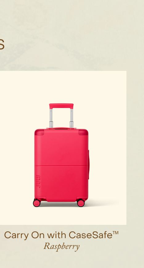 Carry On with CaseSafe™ Raspberry