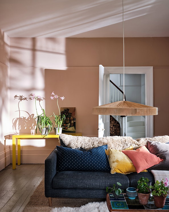 Warm pink living room with a dark blue sofa, colourful cushions, indoor plants, and sunlight casting soft shadows across the walls.
