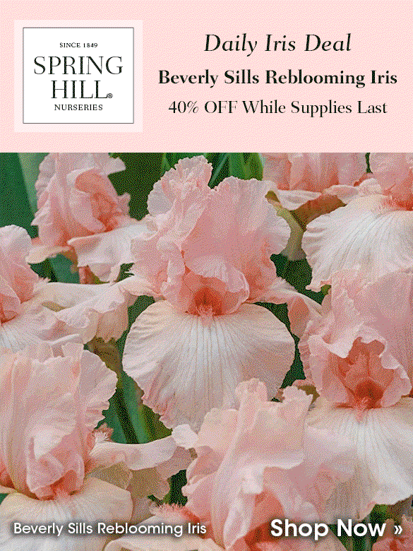 Daily Iris Deal: Lest We Forget at 40% OFF