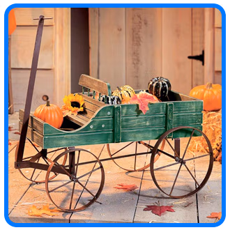 Amish Country Wagon