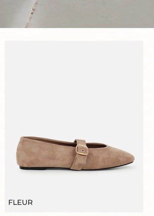 Fleur suede ballet pump 