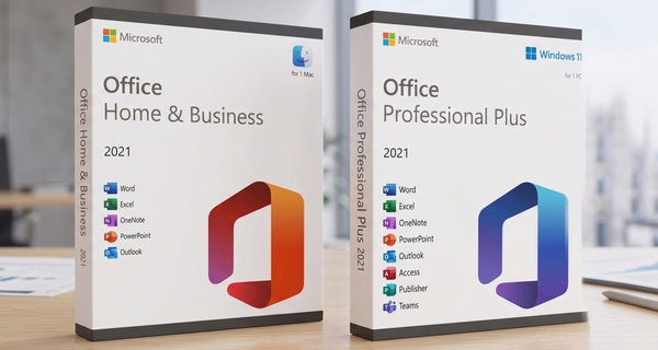 Microsoft Office 2021 or 2019 Windows or Mac