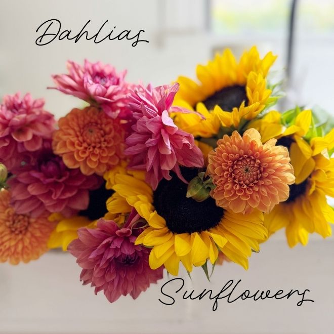 Dahlias and Sunflowers bouquet - 20% off with code AGAIN