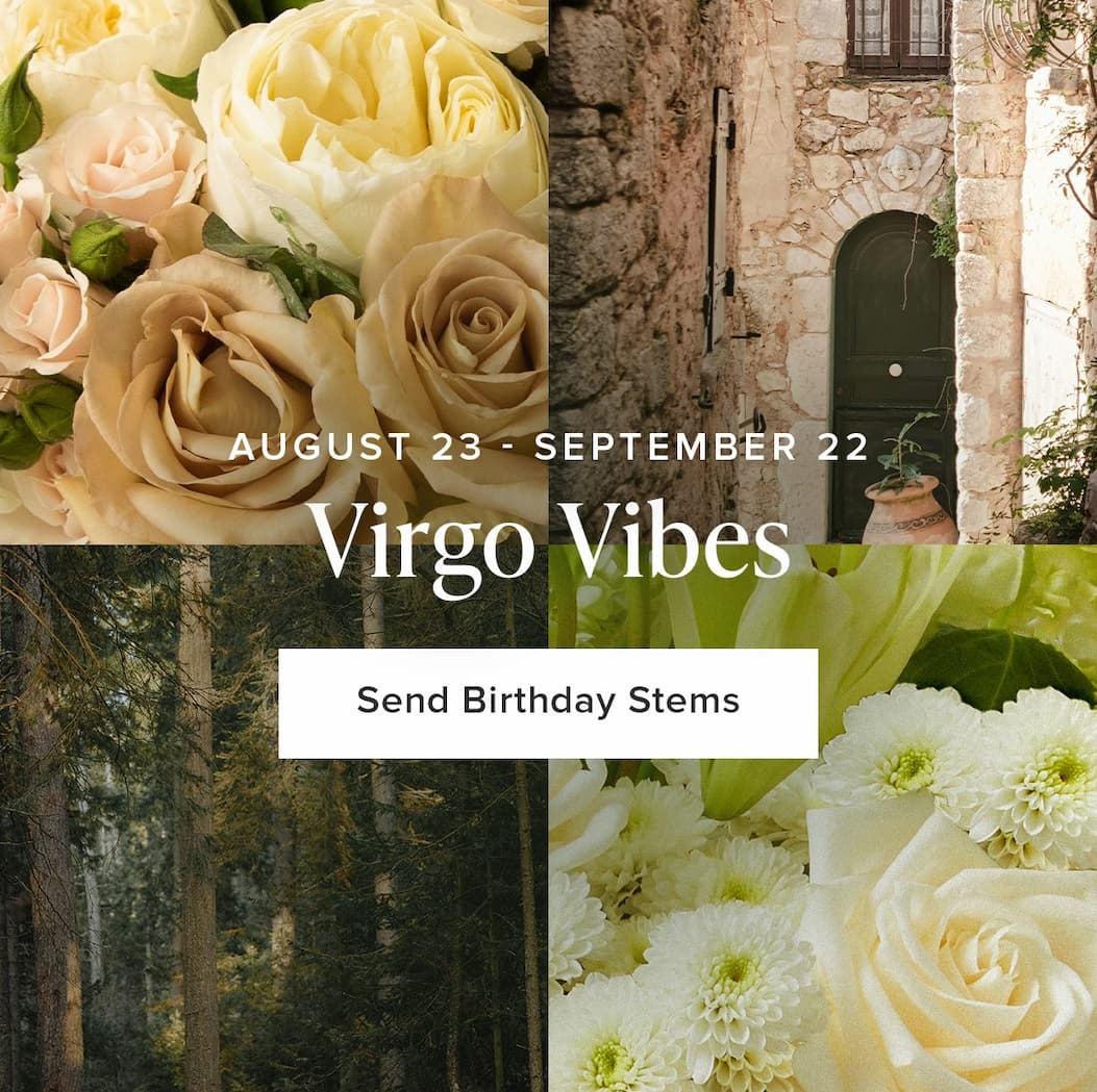 Virgo (August 23 - September 22) Vibes. Send Birthday Stems. 