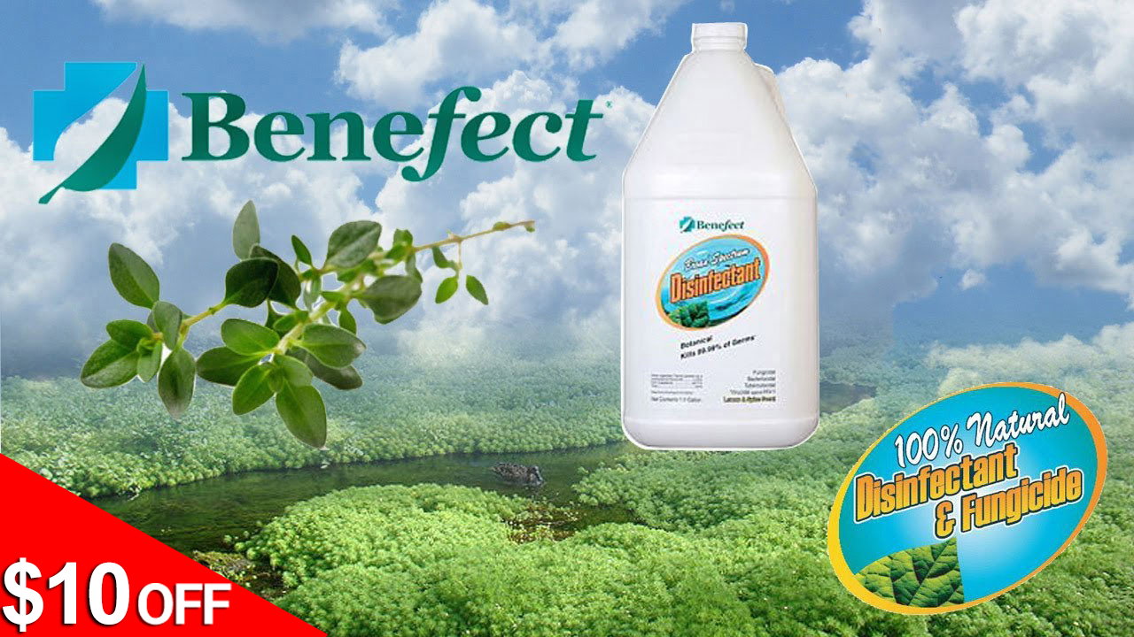 Benefect Nontoxic Disinfectant