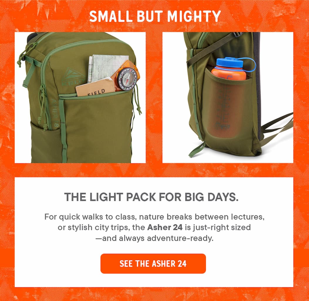 Asher 24 Pack