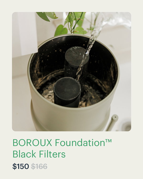 BOROUX Foundation™ Black Filters
