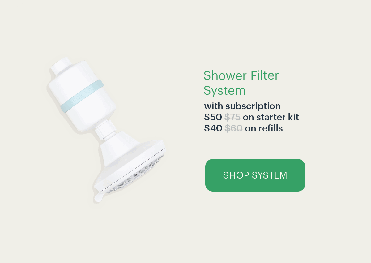 Shower Filter System