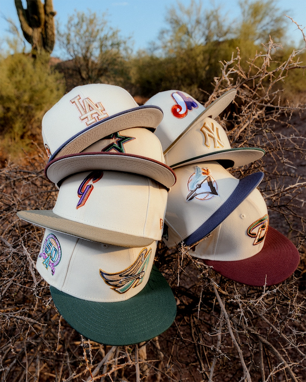 SAFARI