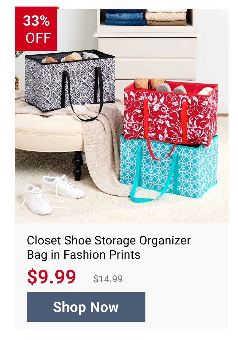 Closet Shoe Storage Organizer Bag in Fashion Prints