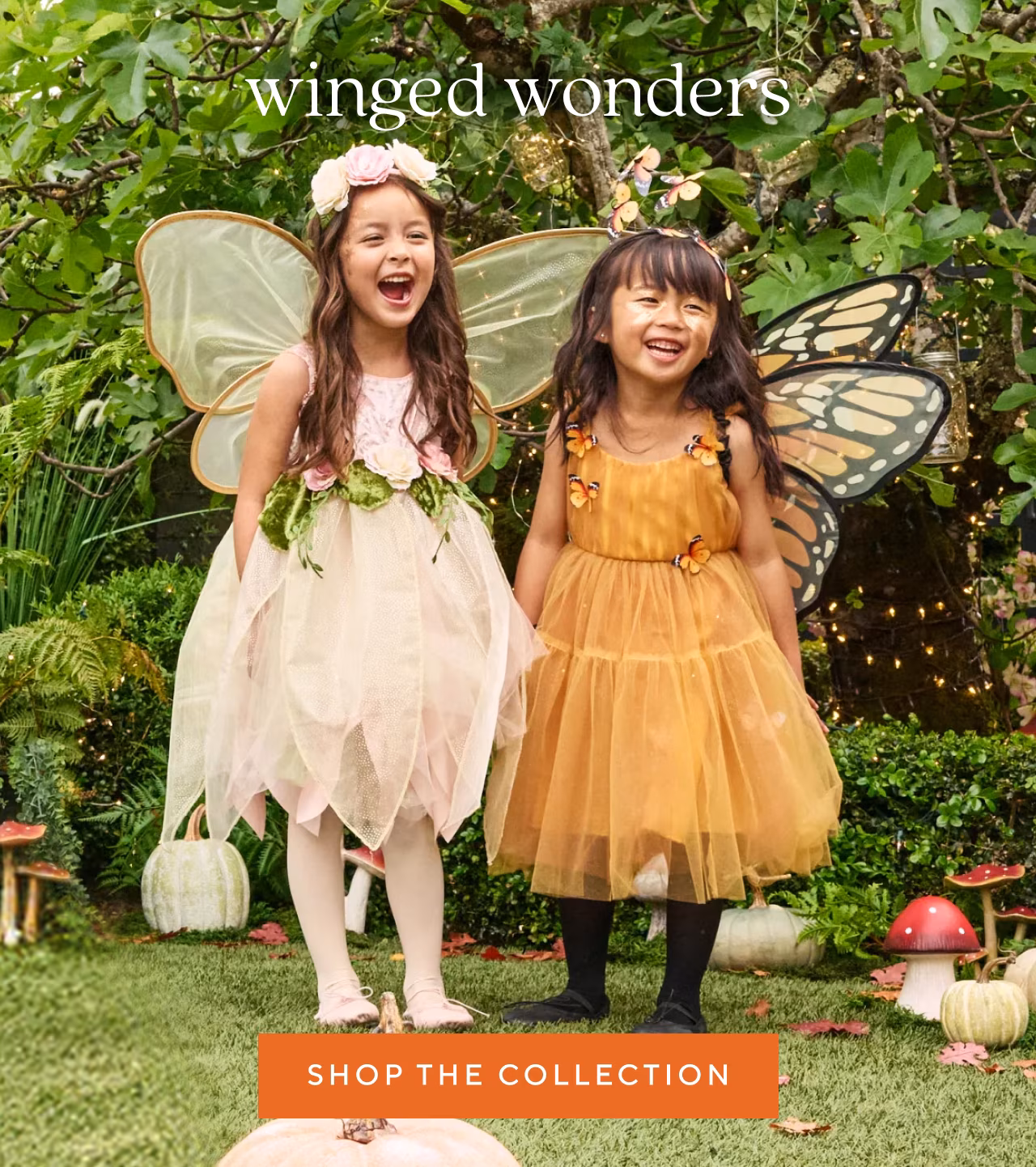 winged wonders