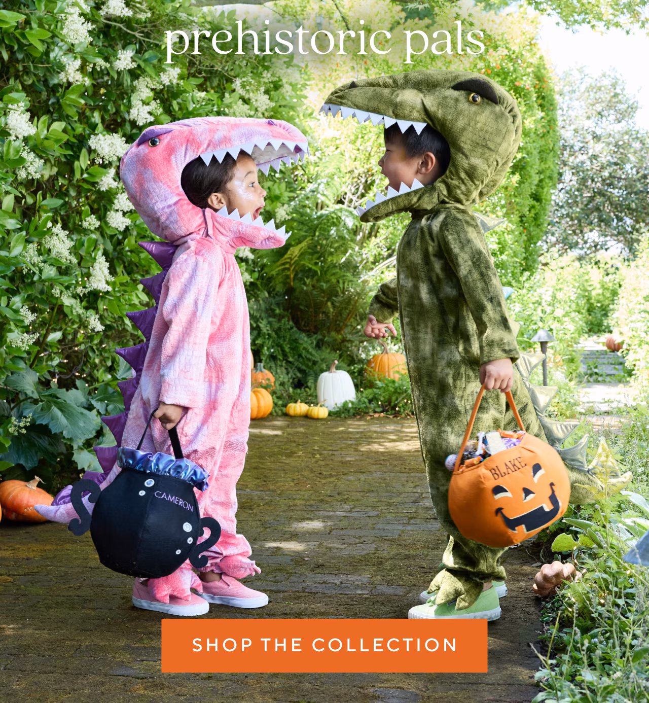 prehistoric pals
