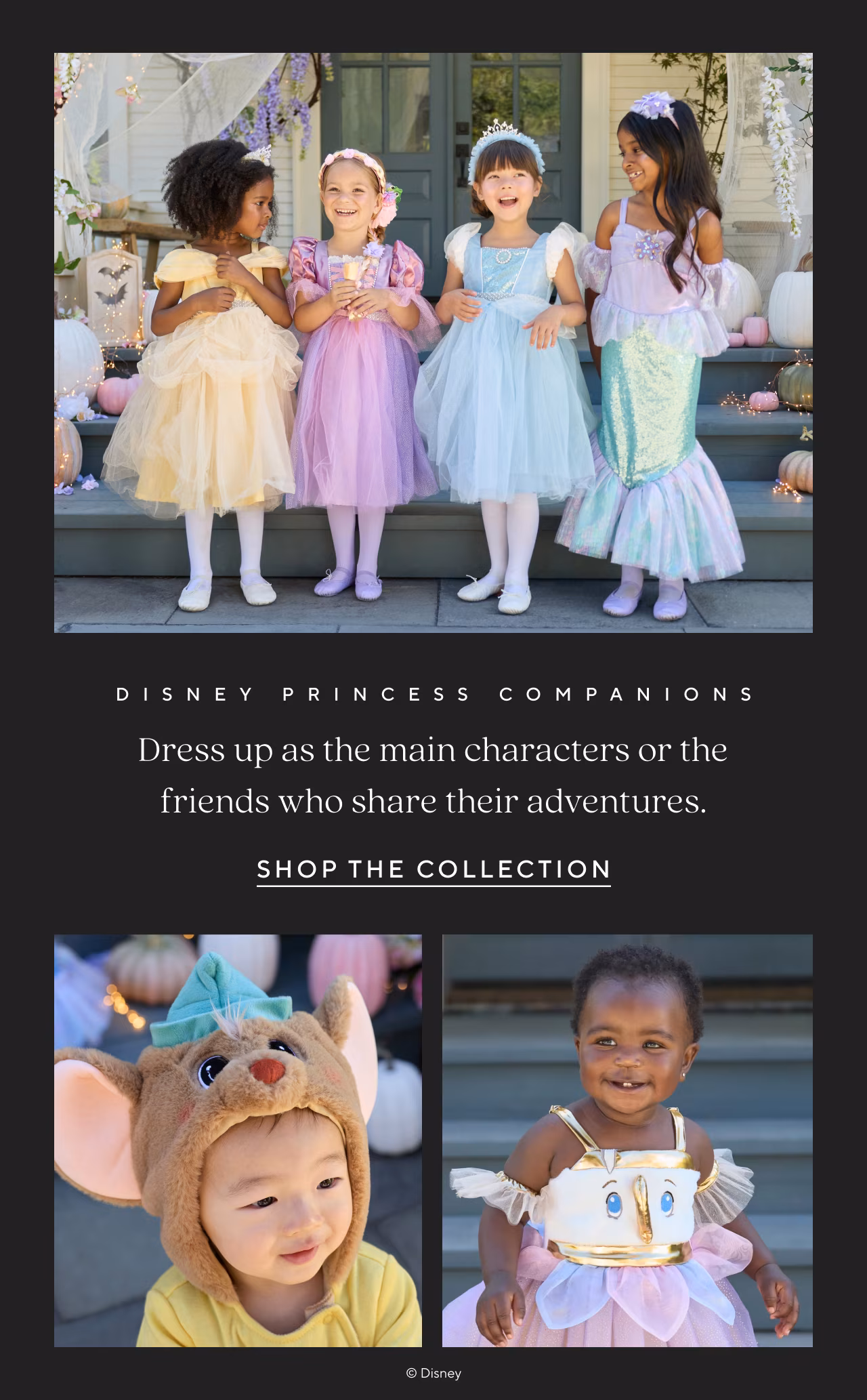Disney Princess companions