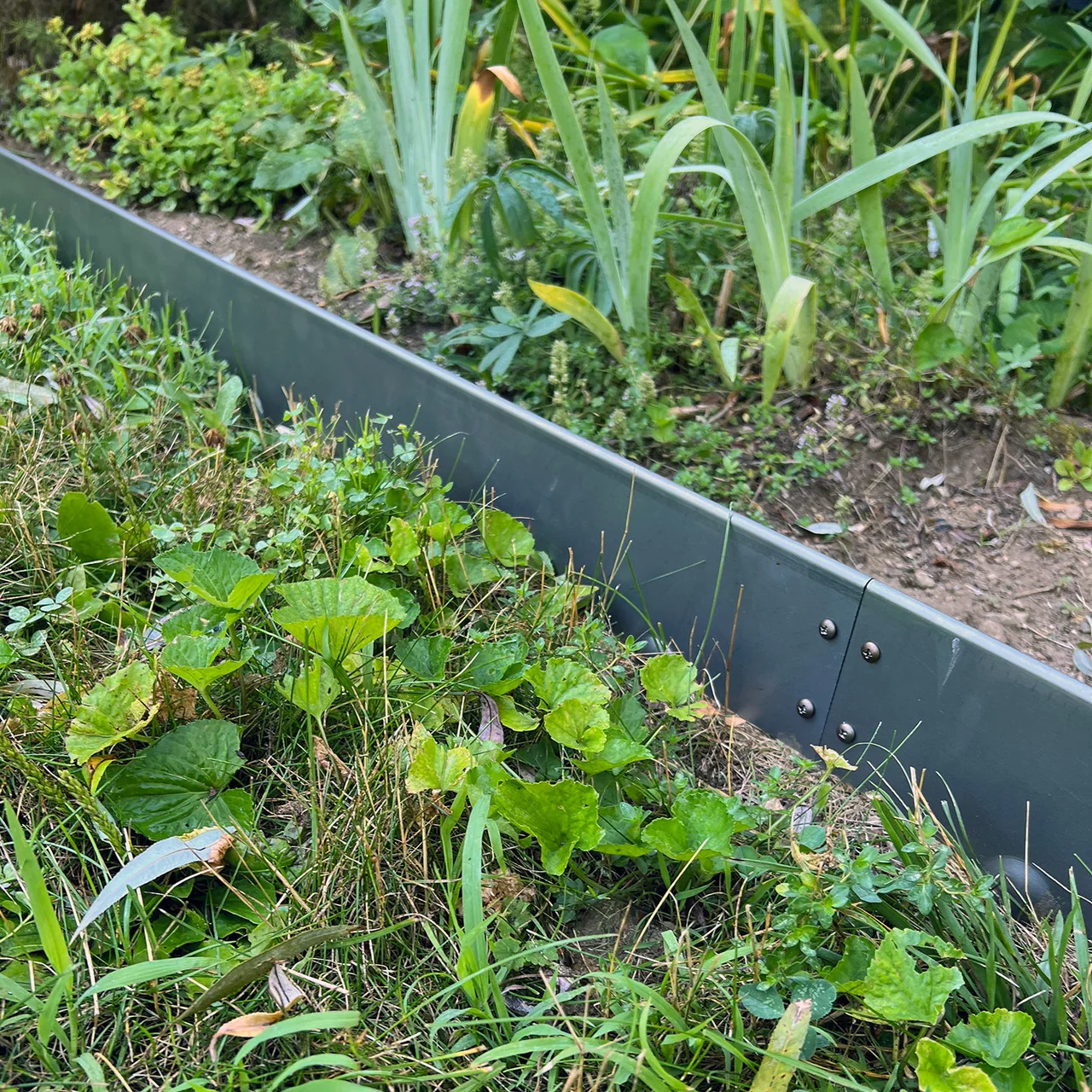 Image of Cor-Ten Garden Edging (5 sections)