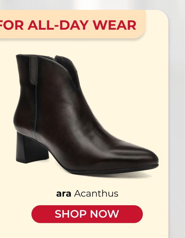 ara Acanthus