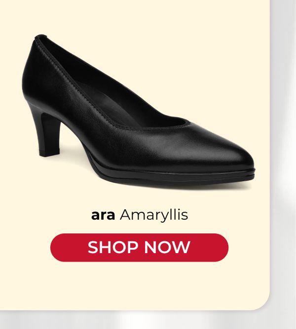 ara Amaryllis