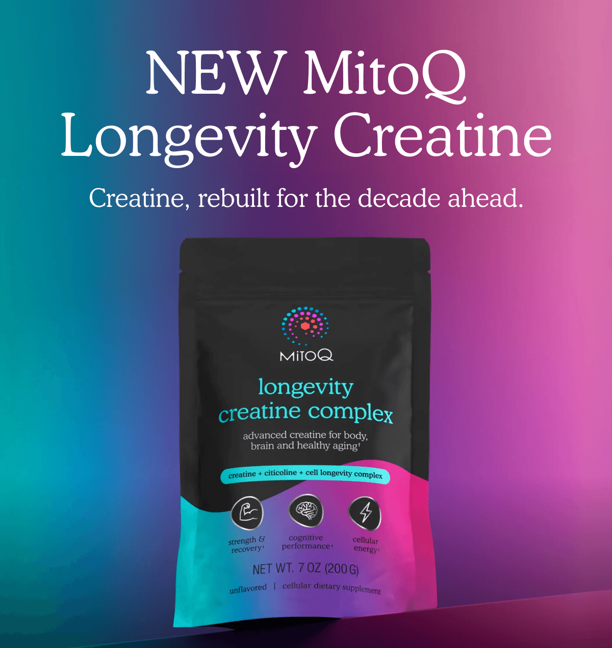 NEW MitoQ Longevity Creatine