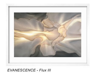 EVANESCENCE - Flux III