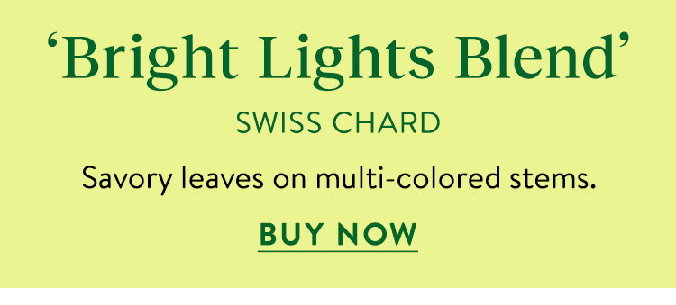 Bright Lights Swiss Chard Seeds
