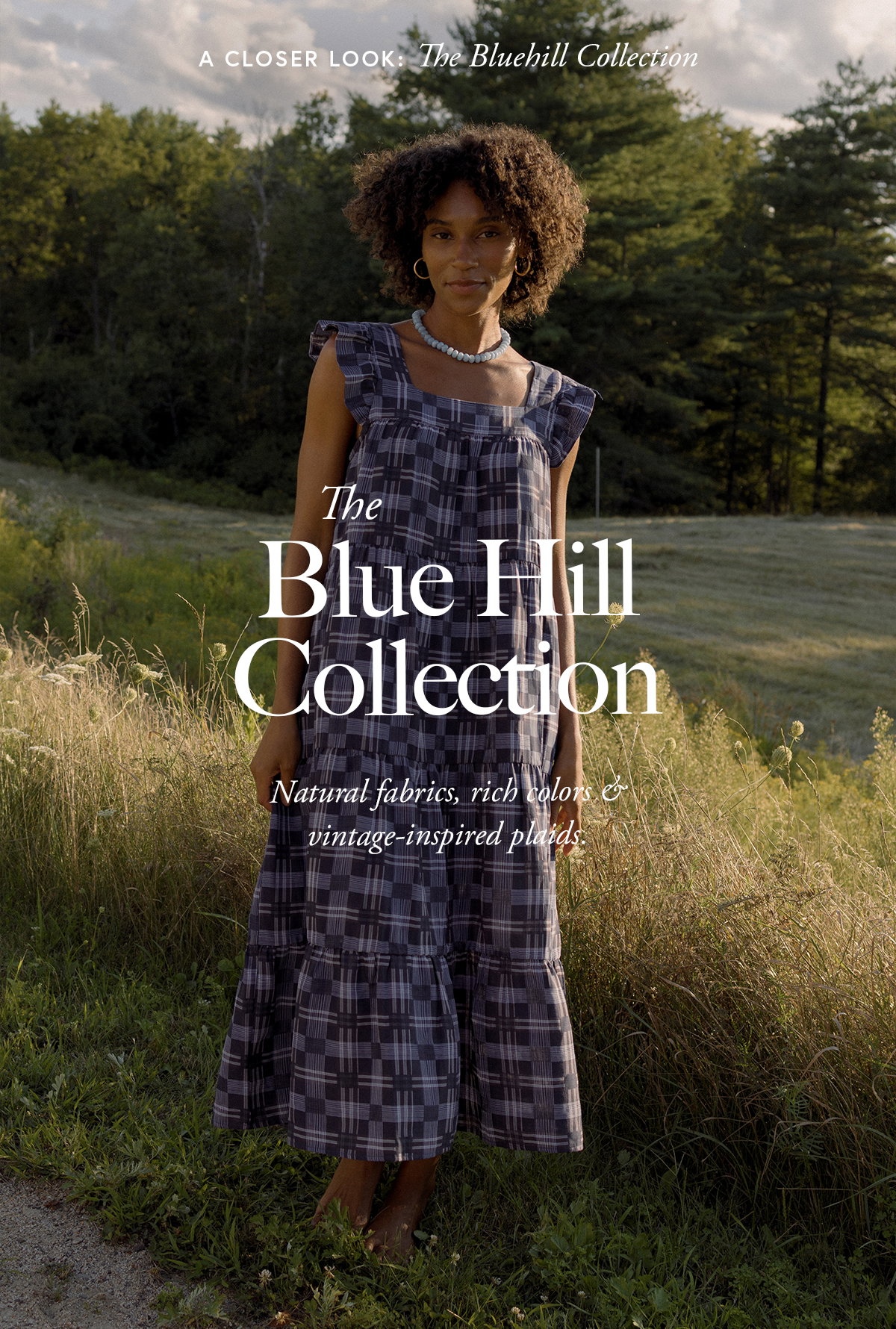 The Blue Hill Collection