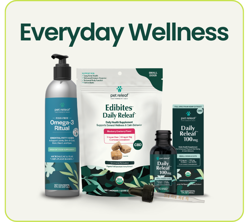 Everyday Wellness Product Block