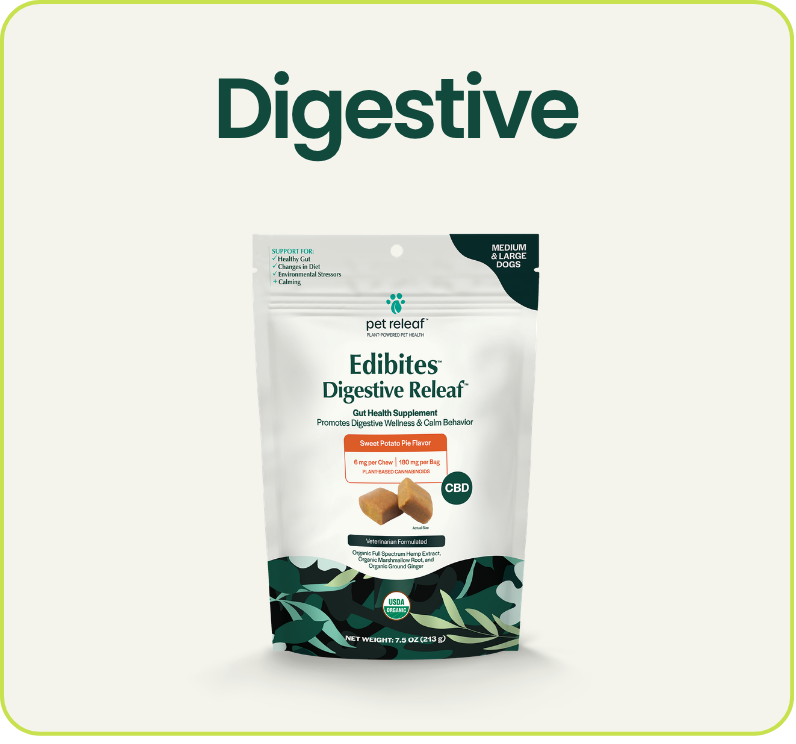 Digestive Support Product Block