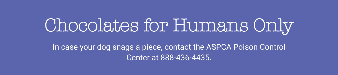 Chocolates for Humans Only | In case your dog snags a piece, contact the ASPCA Poison Control Center at 888-436-4435
