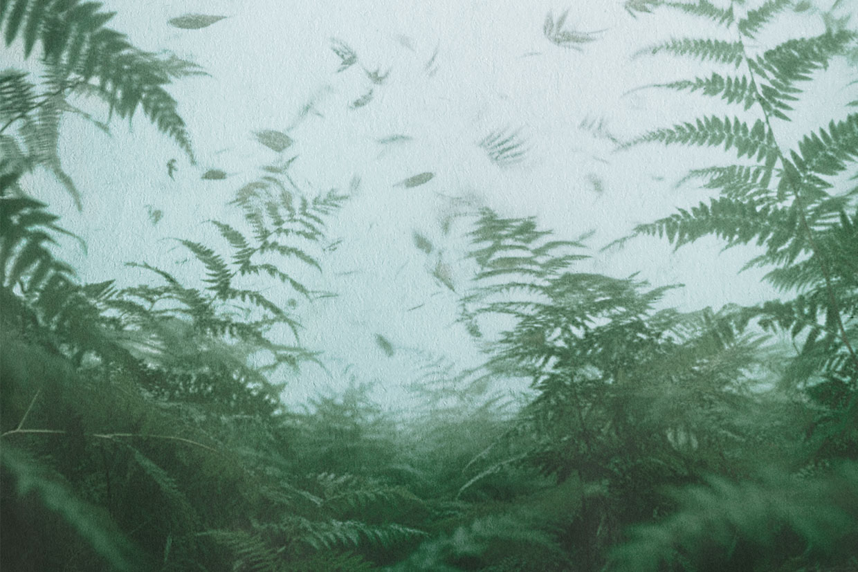 The imagined scent of Pure Air