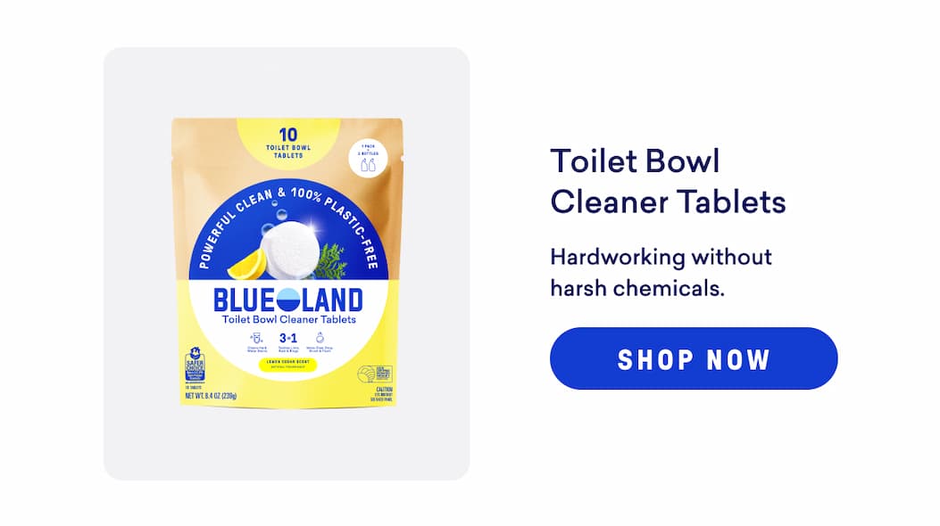 Shop Toilet Bowl Cleaner Tablets