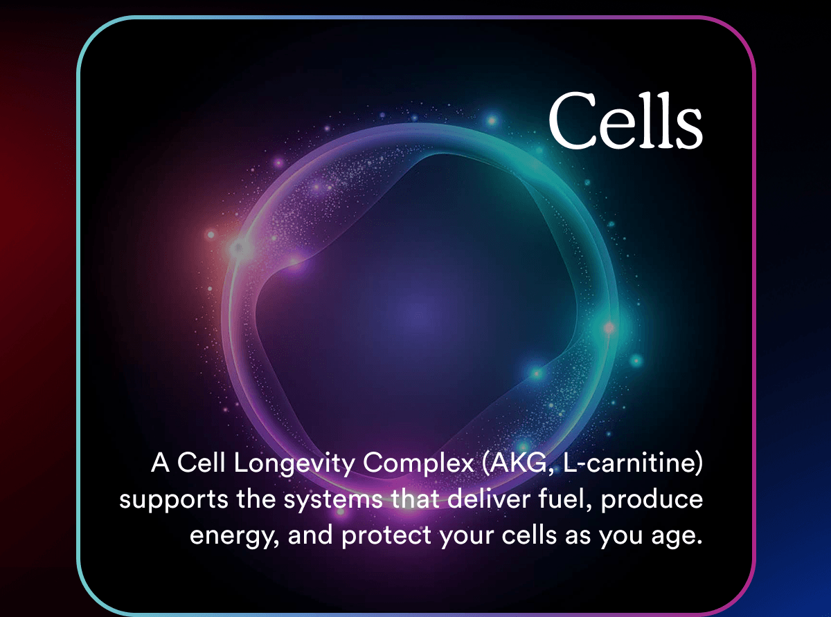 A Cell Longevity Complex (AKG, L-carnitine) supports the systems that deliver fuel, produce energy, and protect your cells as you age.