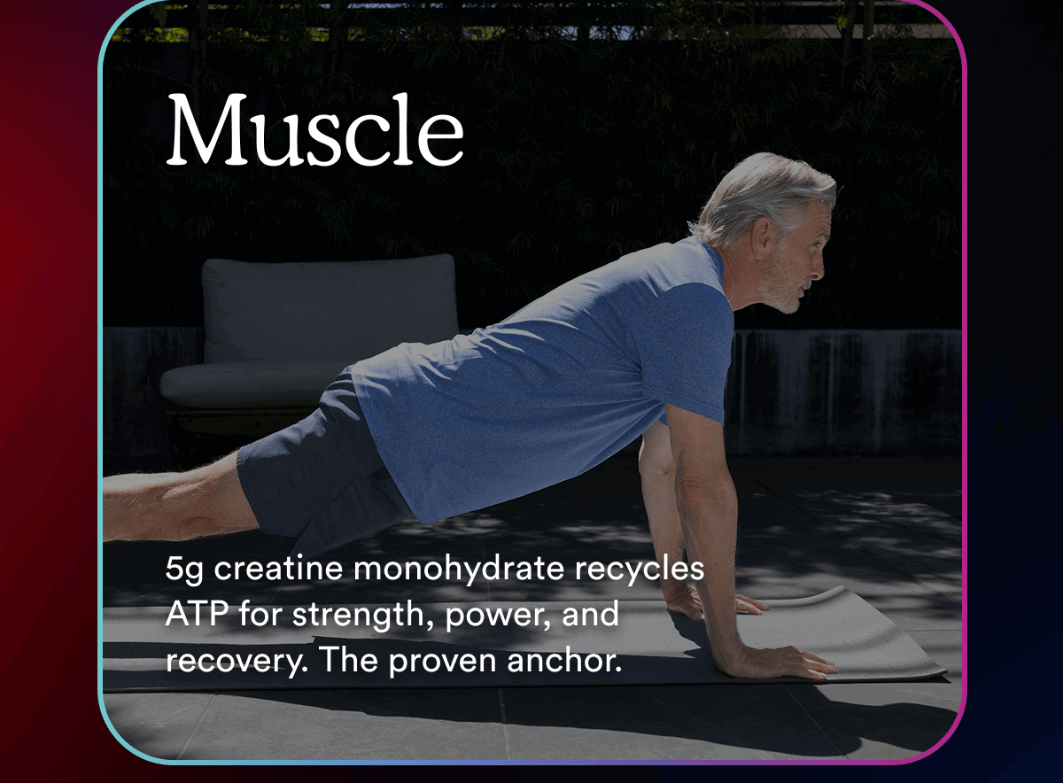 5g creatine monohydrate recycles ATP for strength, power, and recovery. The proven anchor.