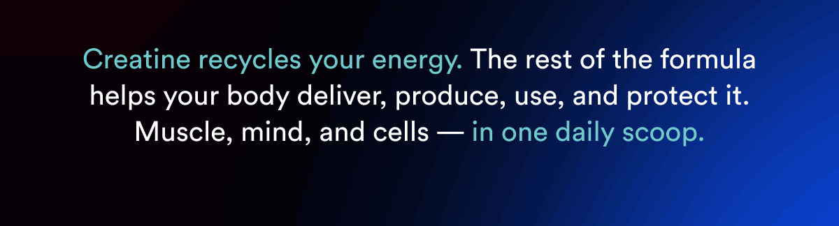 Creatine recycles your energy. The rest of the formula helps your body deliver, produce, use, and protect it. Muscle, mind, and cells — in one daily scoop.
