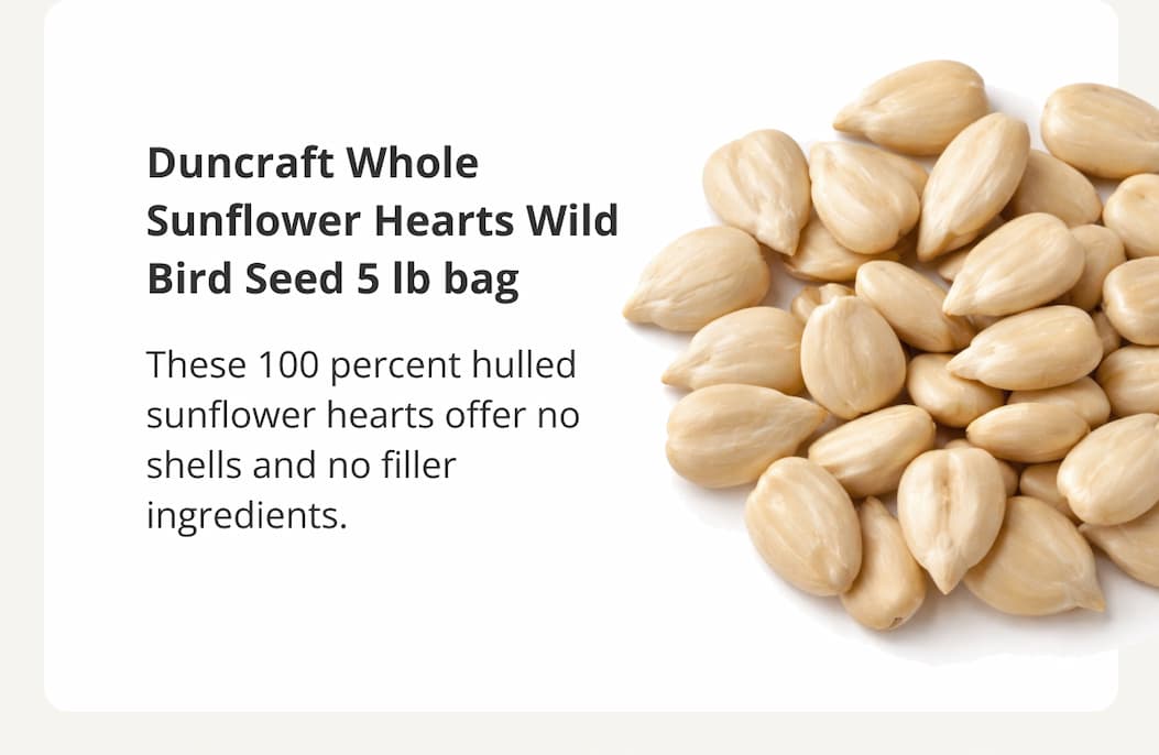 Duncraft Whole Sunflower Hearts Wild Bird Seed 5 lb bag