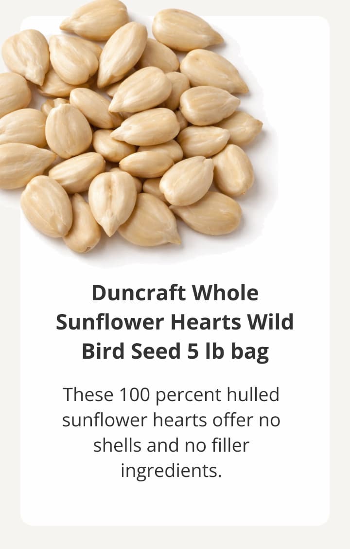 Duncraft Whole Sunflower Hearts Wild Bird Seed 5 lb bag