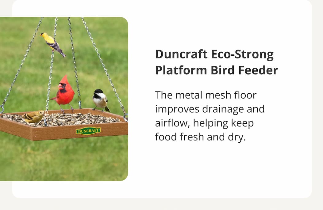 Duncraft Eco-Strong Platform Bird Feeder