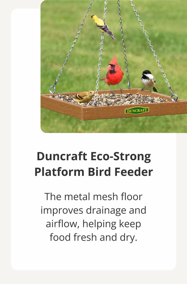 Duncraft Eco-Strong Platform Bird Feeder