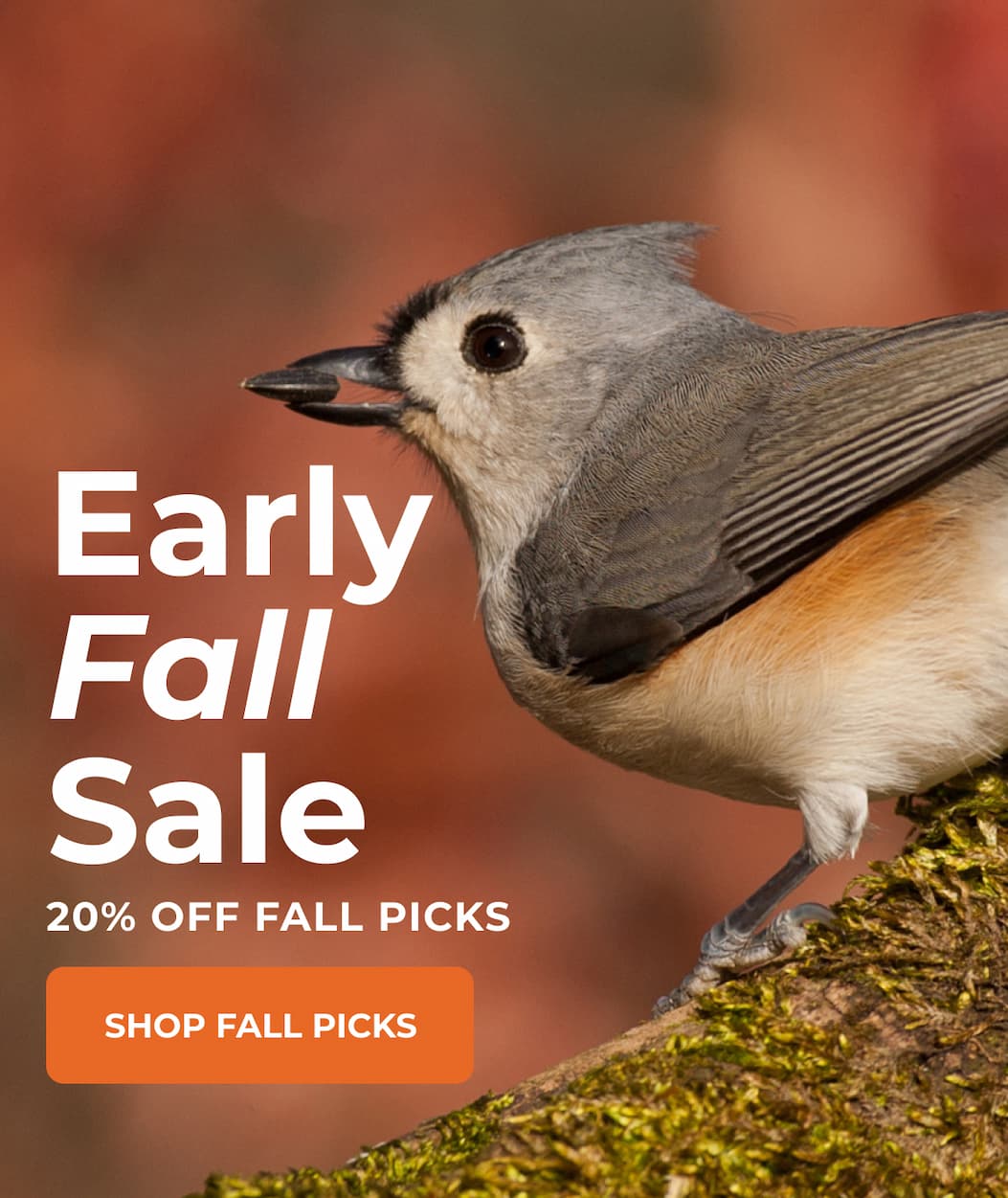 Early Fall Sale