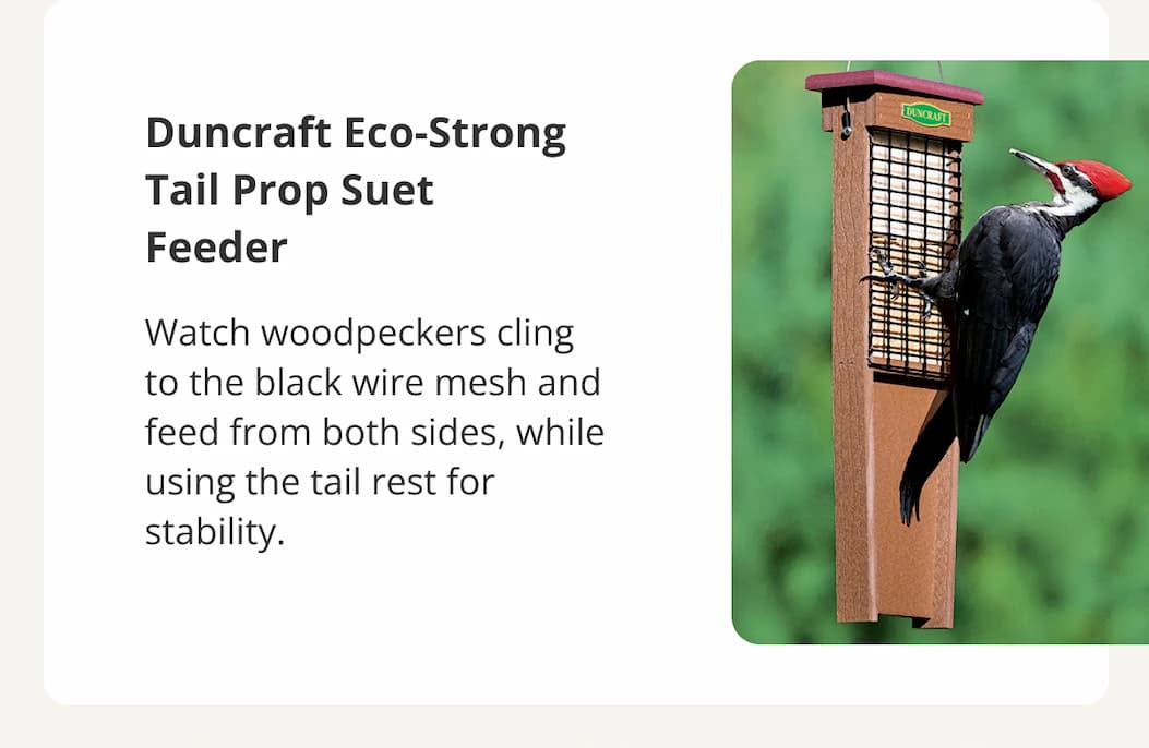 Duncraft Eco-Strong Tail Prop Suet Feeder