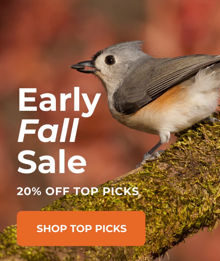 Early Fall Sale