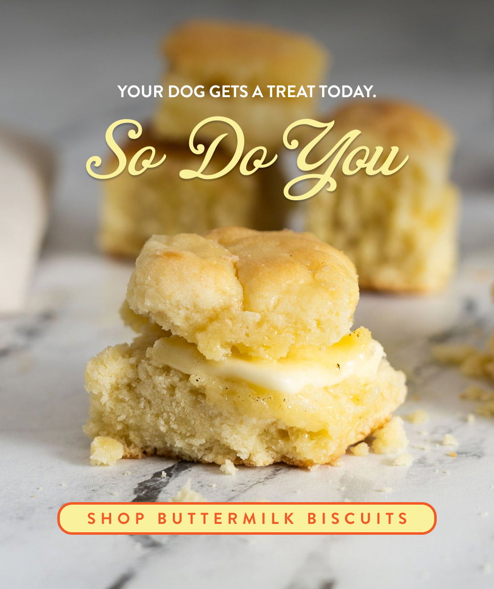 Your dog gets a treat today. So Do You