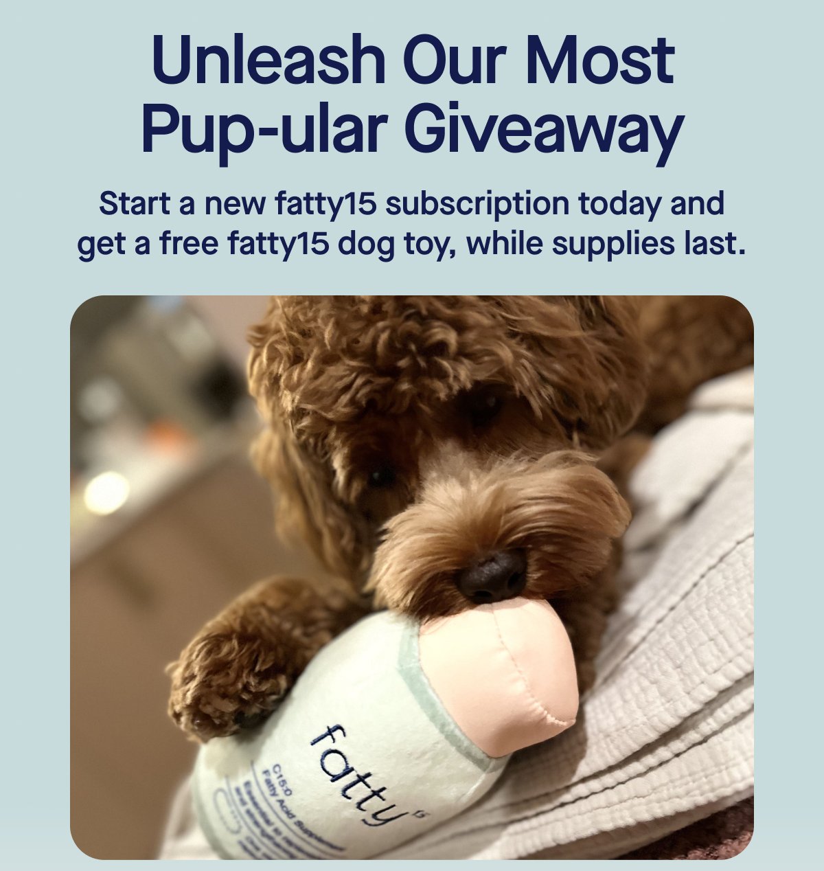 Unleash Our Most Pup-ular Giveaway Start a new fatty15 subscription today and get a free fatty15 dog toy, while supplies last.